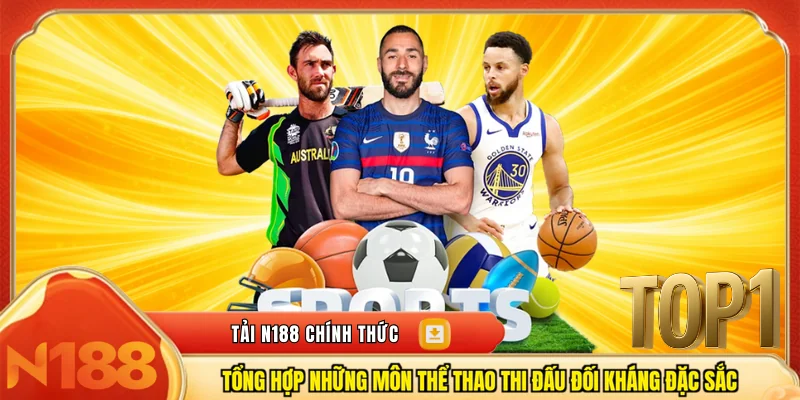 Tổng hợp những môn thể thao thi đấu đối kháng đặc sắc